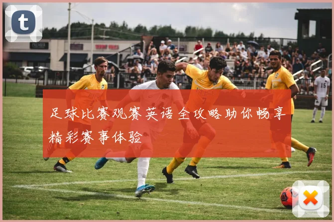 足球比赛观赛英语全攻略助你畅享精彩赛事体验
