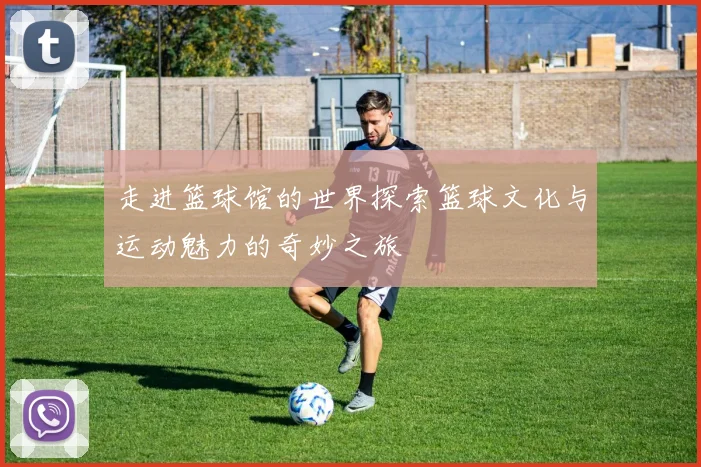 走进篮球馆的世界探索篮球文化与运动魅力的奇妙之旅