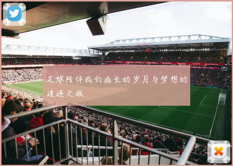 足球陪伴我们成长的岁月与梦想的追逐之旅