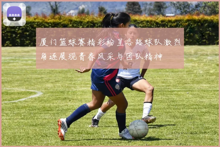 厦门篮球赛精彩纷呈各路球队激烈角逐展现青春风采与团队精神