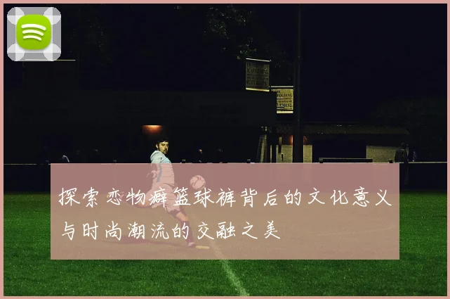 探索恋物癖篮球裤背后的文化意义与时尚潮流的交融之美