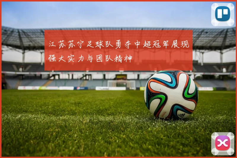 江苏苏宁足球队勇夺中超冠军展现强大实力与团队精神