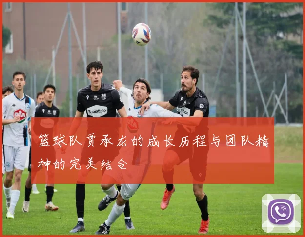 篮球队贾承龙的成长历程与团队精神的完美结合